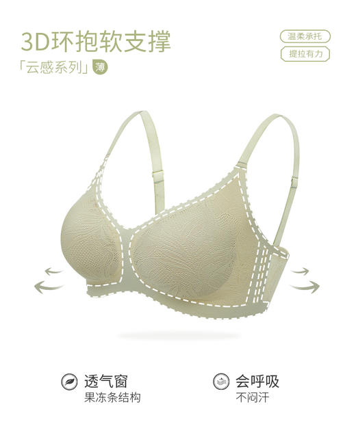 绿时代蕾丝文胸6006 商品图3