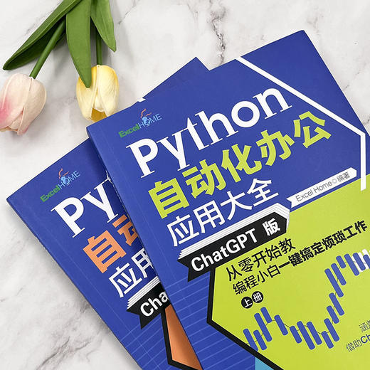 Python自动化办公应用大全（ChatGPT版）：从零开始教编程小白一键搞定烦琐工作（上下册） Excel Home 北京大学出版社 商品图3