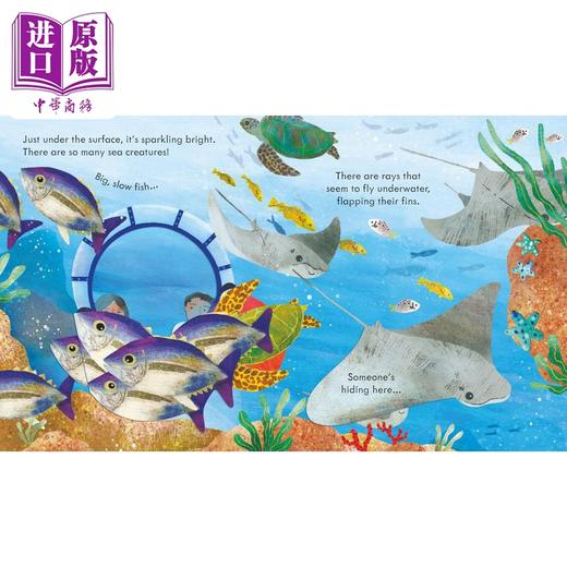 【中商原版】Peep Inside the Deep Ocean尤斯伯恩偷偷看里面：深海 英文原版进口图书 儿童科普绘本 知识百科图书 儿童读物 商品图1