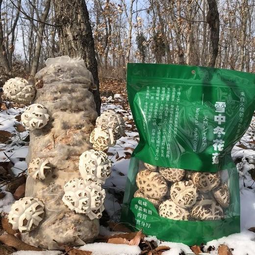 雪中冬花菇（新菇） 商品图0