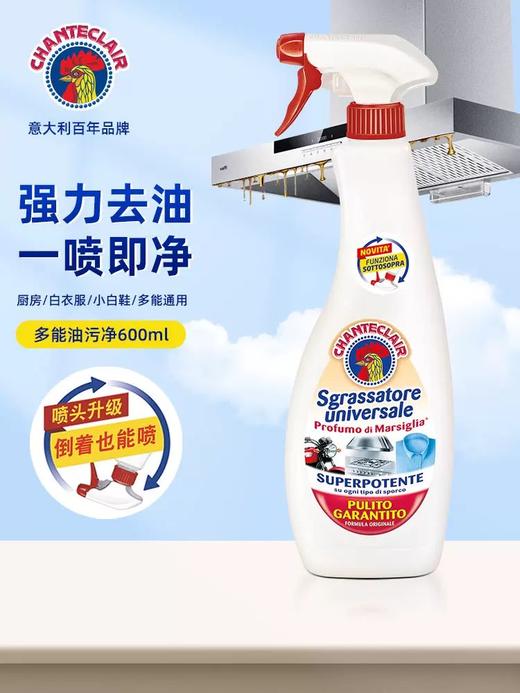 大公鸡管家多功能油污净(红色马赛) 600ml 商品图0