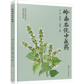 岭南名优中成药