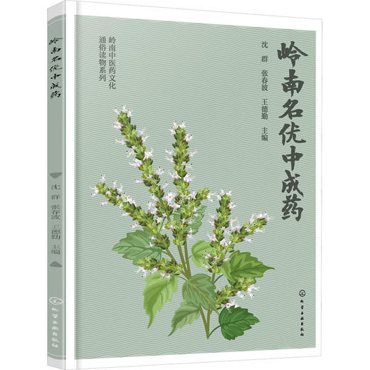 岭南名优中成药 商品图0