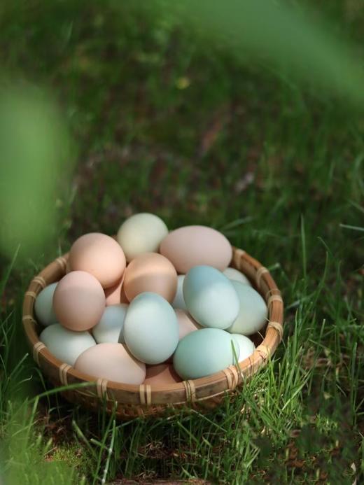 【YZC】山野物产集·醴陵农家散养土鸡蛋30枚 商品图1