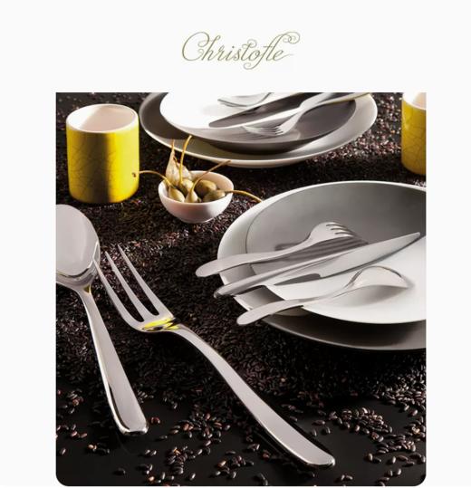 CHRISTOFLE昆庭L'Ame灵魂乐章银色刀叉勺西餐餐具甜品勺蛋糕叉 商品图1