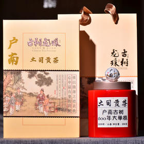 贡茶单株这品质您可曾尝试过？【户南古树单株】【土司贡茶地】奇香入水，陈化四年！汤香水浓郁，闭眼入的高端茶！