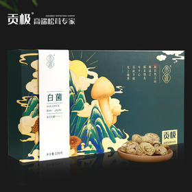 贡极 白菌干货礼盒 四川甘孜特产山珍菌菇 白菌礼盒