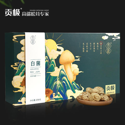 贡极 白菌干货礼盒 四川甘孜特产山珍菌菇 白菌礼盒 商品图0