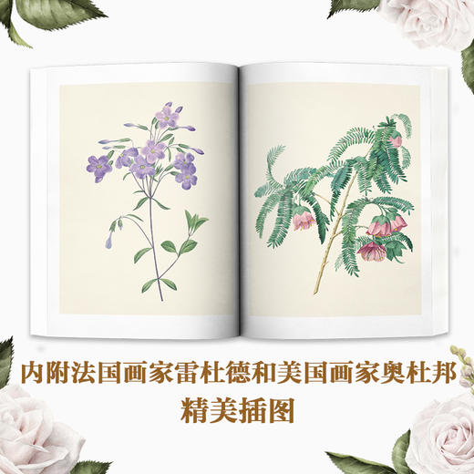 以温柔的方式过一生：女子生活之美 商品图3