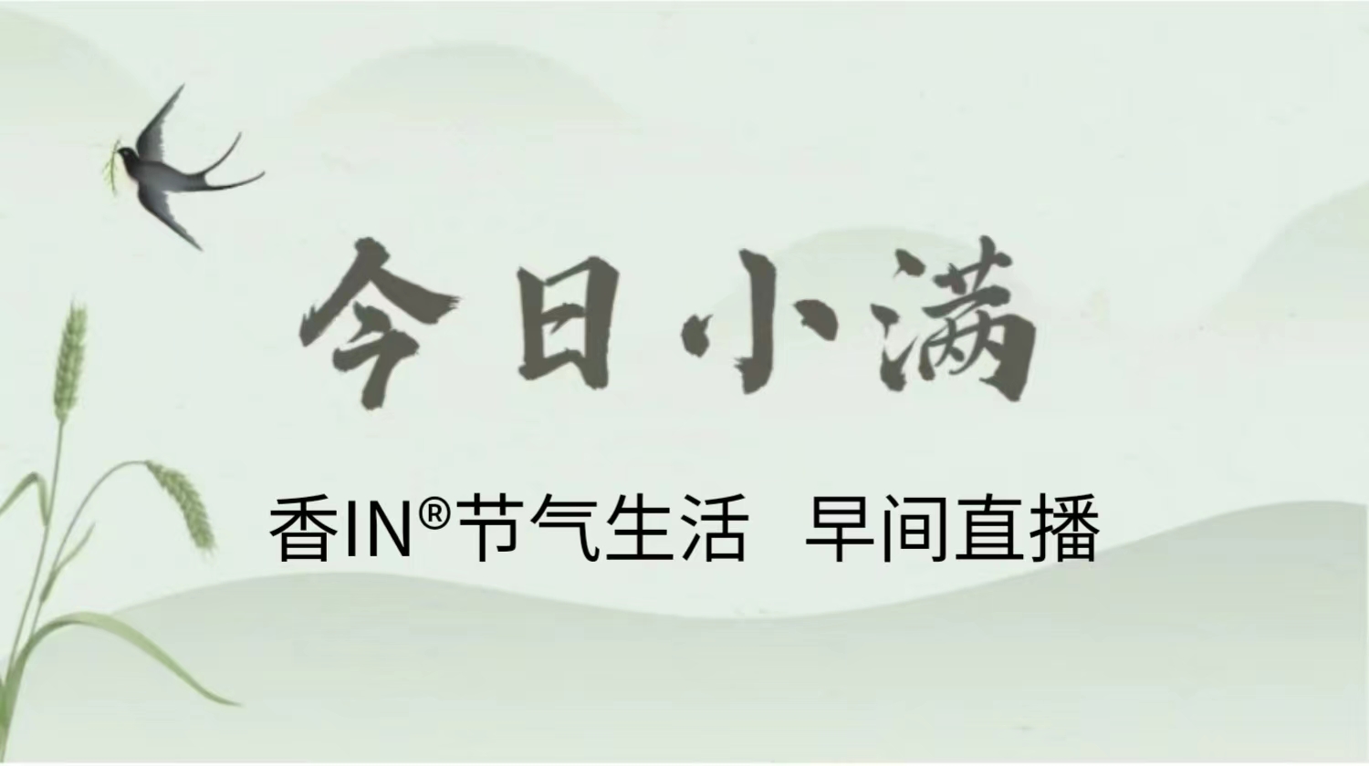 节气生活 小满早直播