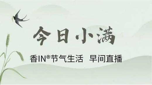 节气生活 小满早直播 商品图0