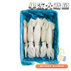 【冻品】 单冻大鱿鱼 单条8两左右 商品缩略图0