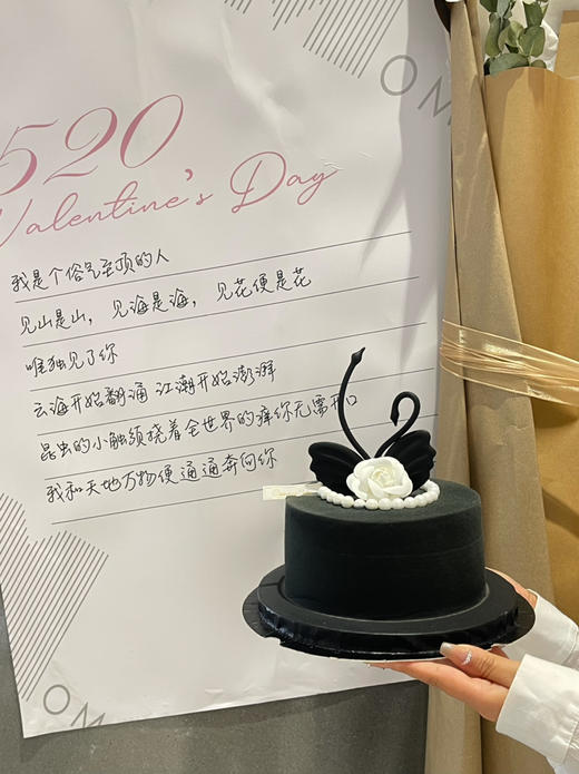 520天作之合 商品图7