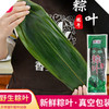 鲜粽叶/干粽叶 商品缩略图0