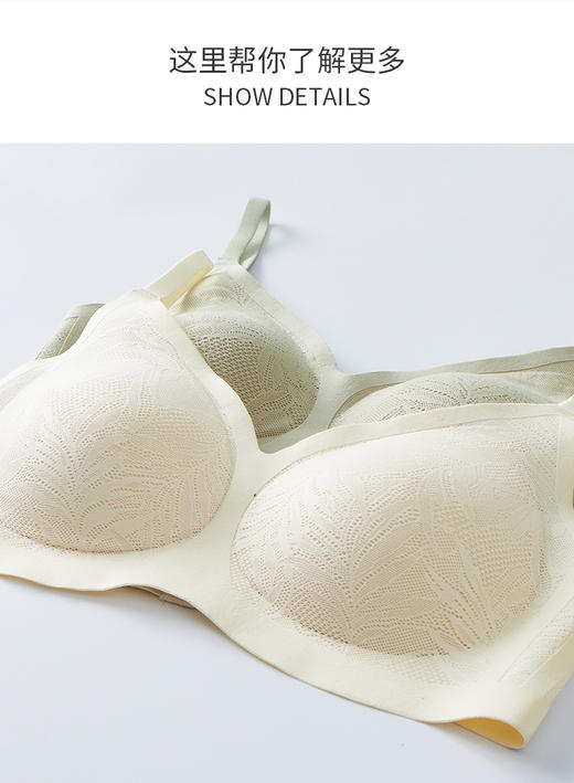 绿时代蕾丝文胸6006 商品图10