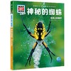 神秘的蜘蛛 商品缩略图0