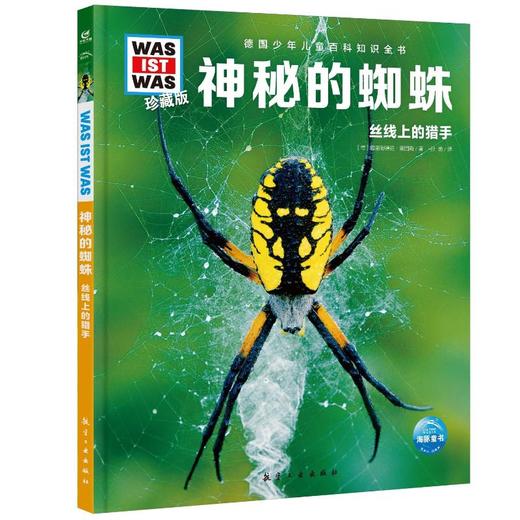 神秘的蜘蛛 商品图0