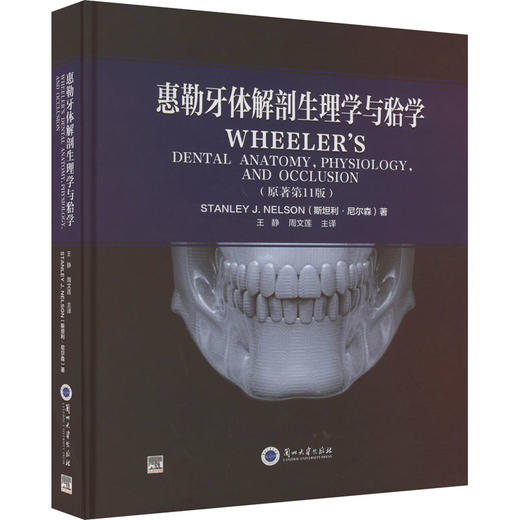 惠勒牙体解剖生理学与(牙合)学(原著第11版) 商品图0