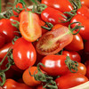 家有禧柿番茄 500g/盒（买一盒送一盒） 商品缩略图2