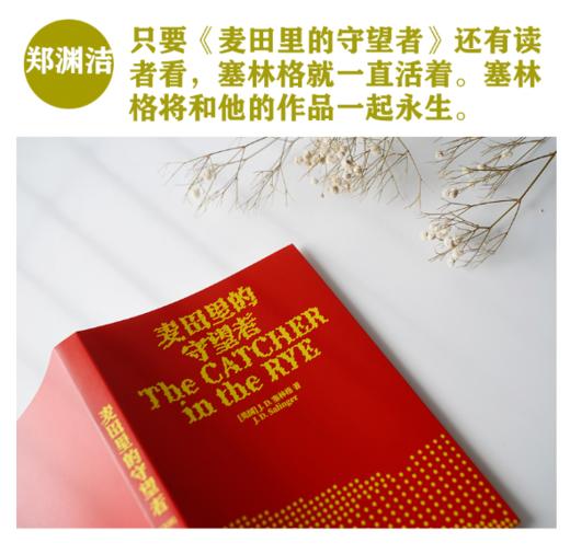 麦田里的守望者（70周年纪念版） 商品图4