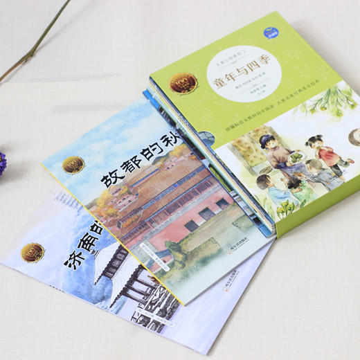 【童立方】大家小绘系列2：童年与四季（全8册） 普通版 商品图2