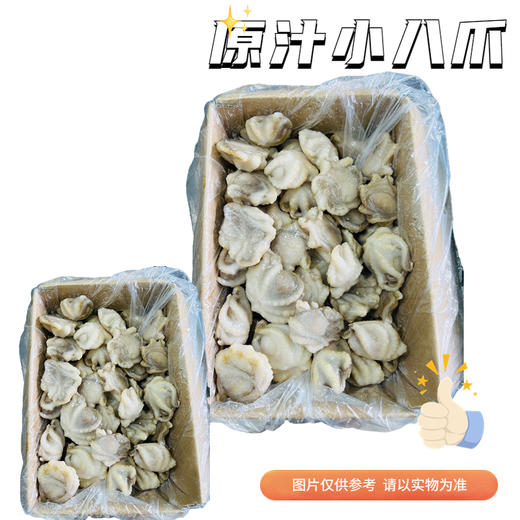 【冻品】原汁三去小八爪 商品图0
