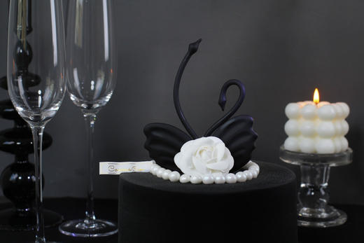 520天作之合 商品图4