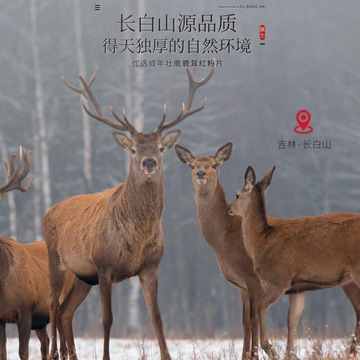 福东海 鹿茸片20克 吉林长白山鹿茸粉片血片 独立小包装 泡酒料滋补品 送礼礼品 商品图4