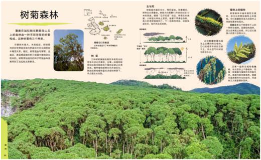 DK探秘活的生物进化博物馆 商品图6