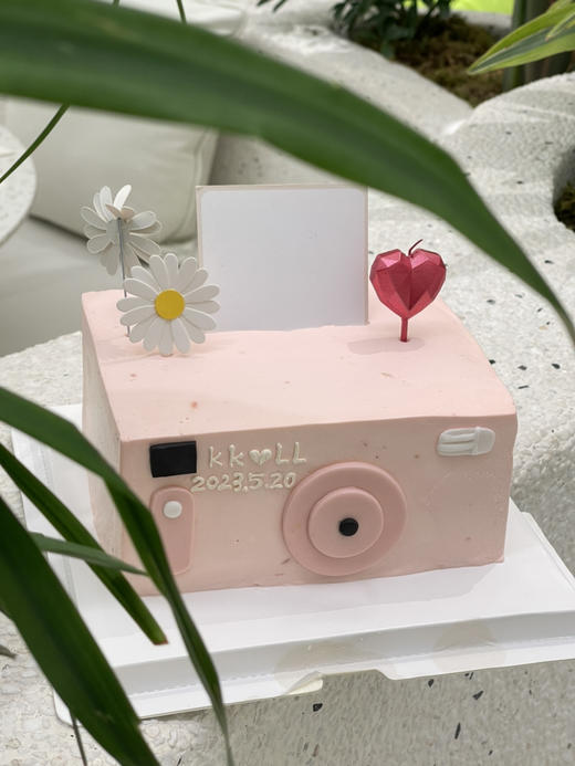 520定格甜蜜时刻 商品图3