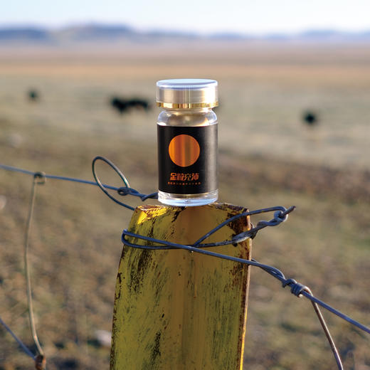 元尊蛹虫草片，高含量蛹虫草素≥6000ug 商品图7