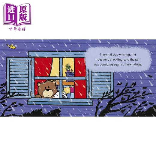 预售 【中商原版】Salina Yoon 熊囧囧与兔太郎系列3册套装 Bear and Floppy Found Stormy Night Big Day 英文原版 儿童绘本纸板书 商品图3