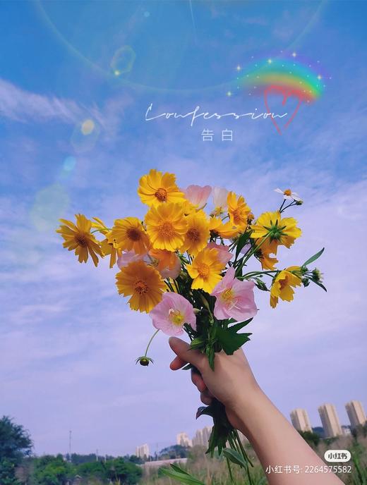 体检服务 商品图0