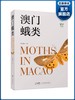澳门蛾类 商品缩略图0