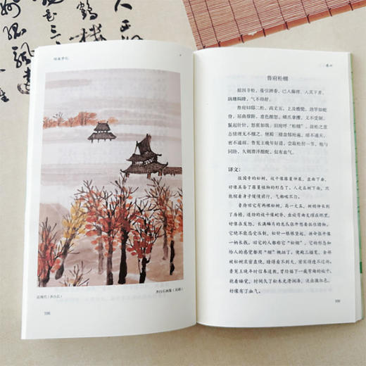 中国古典生活风雅四书 商品图6