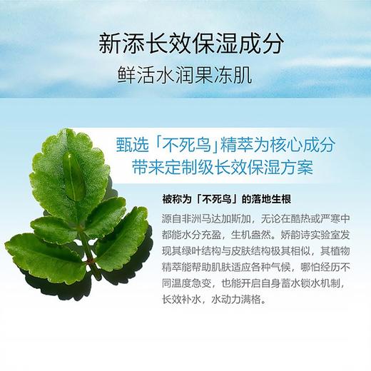 【保税仓直发】CLARINS 娇韵诗 不死鸟面霜 恒润面霜 50ml (全肌肤) 商品图5