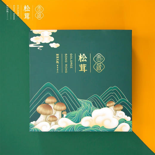 贡极 心止松茸干货礼盒未开伞雅江松茸菌菇 心止礼盒60g 商品图5