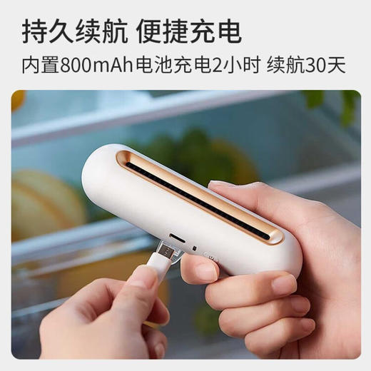 EraClean  冰箱除味器  除味剂杀菌保鲜  CW-B01 商品图1