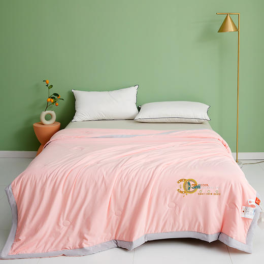 【凉而不冰 恰到好处】小凉皮蚕蛹蛋白夏凉被  凉感科技 一触即凉 排湿透气 商品图1