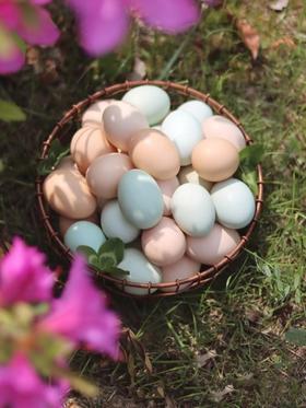 【YZC】山野物产集·醴陵农家散养土鸡蛋30枚