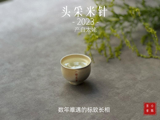 2023头采米针，春白茶“鲜度”的代表之作，极清新、极空灵、也极诱人！ 商品图12