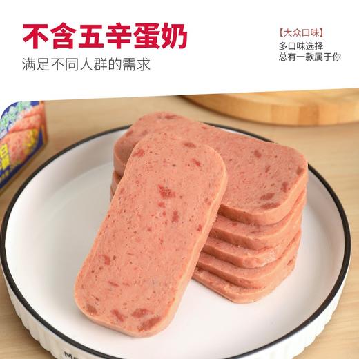 素莲素食午餐肉罐头200g植物蛋白火腿三明治纯素膳客传奇素肉素菜 商品图3