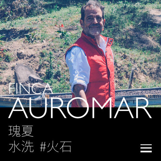 25新产季 | 巴拿马极光庄园 | 水洗瑰夏 火石批次 商品图0