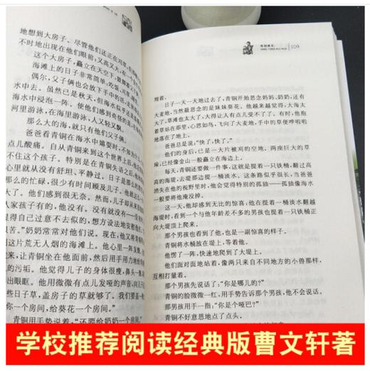 青铜葵花 商品图3