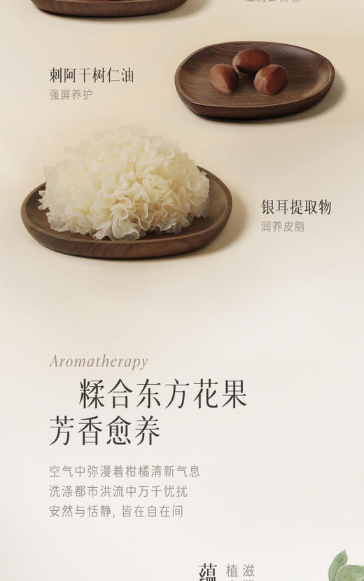 逐本森韵植萃沈滢透洁颜油150ml 商品图3