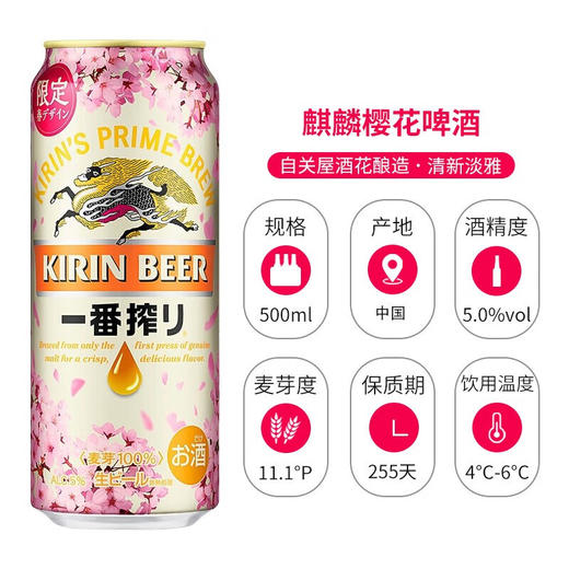 麒麟一番榨樱花啤酒500ml（AA） 商品图3