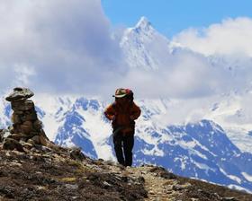 雪山采集营——4888元，藏地作家带你去秘境采虫草