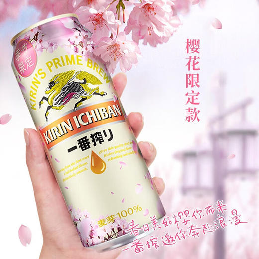 麒麟一番榨樱花啤酒500ml（AA） 商品图1