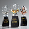 紫荆花创意水晶奖杯定制定做企业入职纪念奖牌照片金银铜冠军订制 商品缩略图0