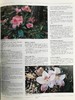 国家植物园精品园林植物名录 数百幅彩色插图 精装16开 商品缩略图9
